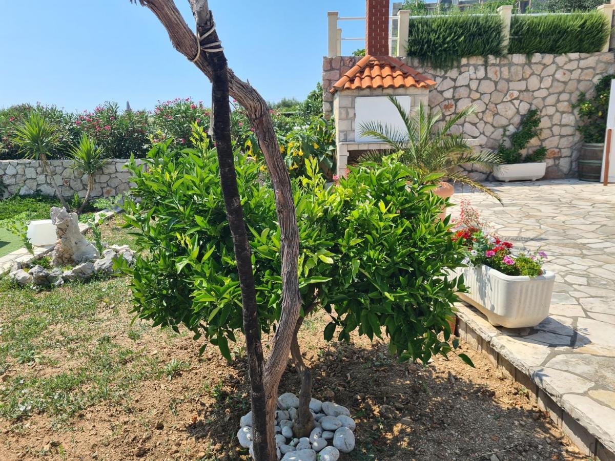 Villa Sea Oasis Ratac Slano Kültér fotó